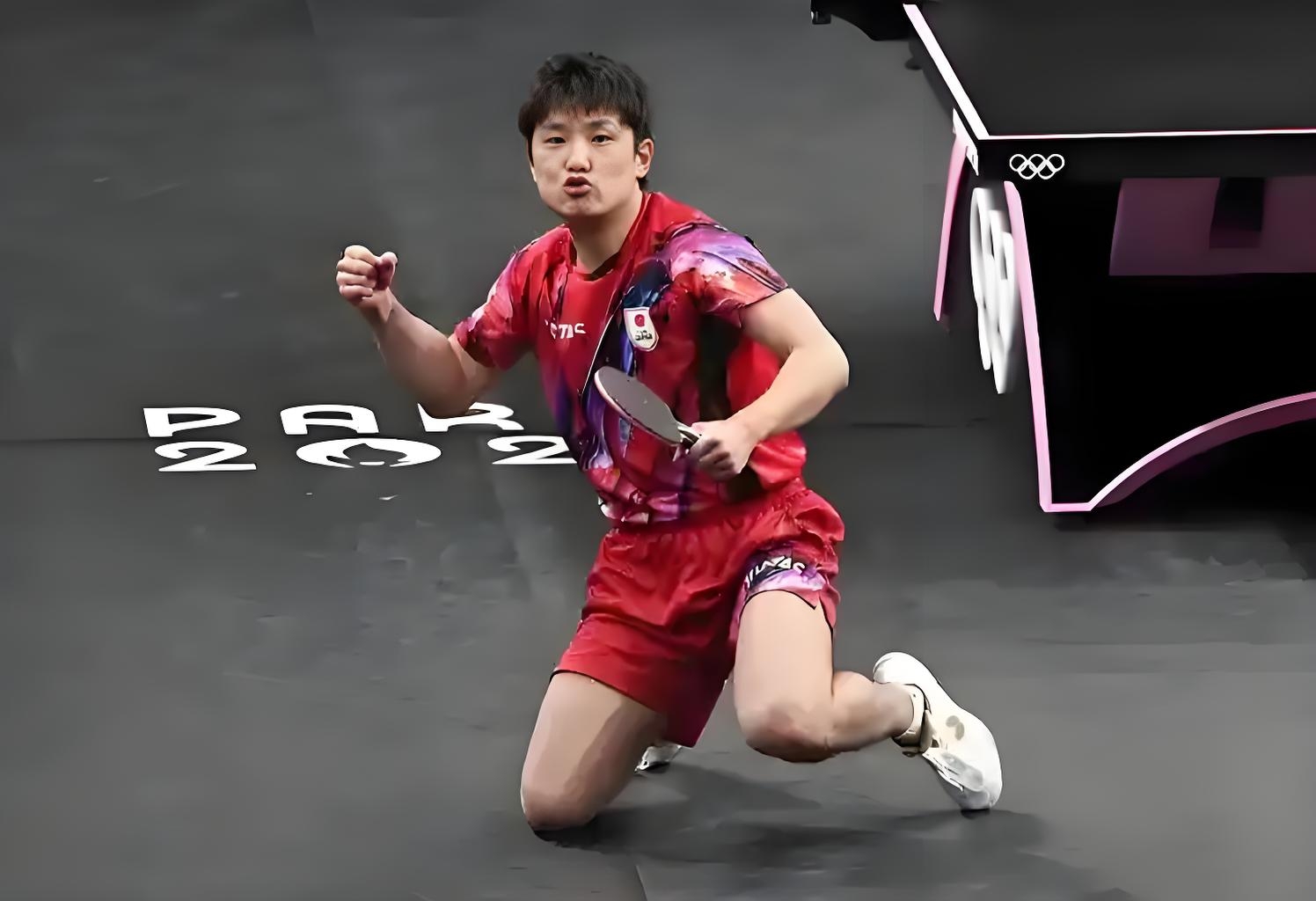 波兰乒乓球队强势奥地利乒乓球队,张本智和爆发神勇的简单介绍 波兰乒乓球队强势奥地利乒乓球队,张本智和爆发神勇的简单介绍