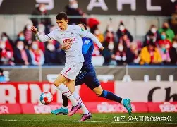 包含德甲升班马表现抢眼，潜力无限涌现的词条