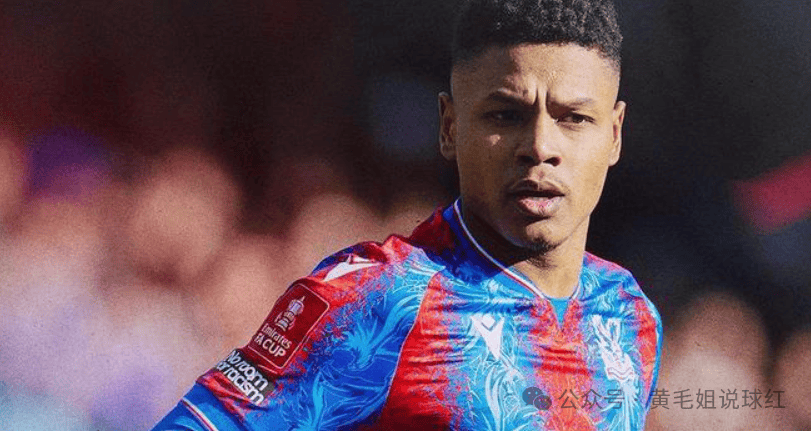 布莱顿客场大胜,继续保持不败的简单介绍 布莱顿客场大胜,继续保持不败的简单介绍