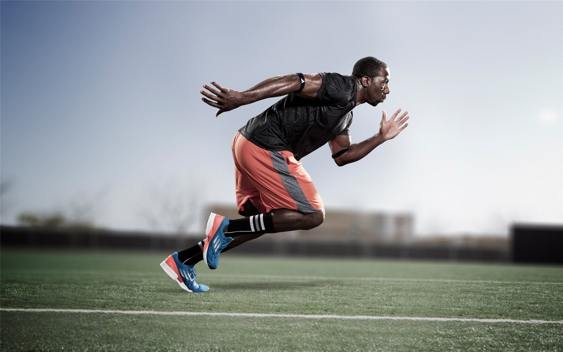 本泽马点燃赛场，突尼斯对阵厄瓜多尔的绿茵传奇